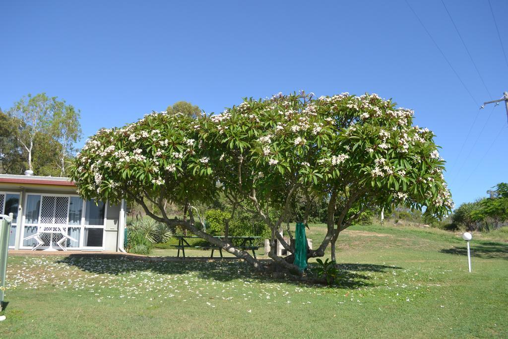 Ocean View Motel Bowen Exterior photo